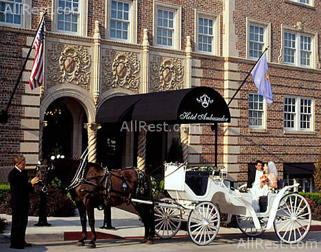 Hotel Ambassador 25